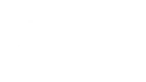 Logo Percept